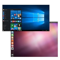 Windows® 10 Pro<br>Ubuntu 16.xx / CentOS 7.x に対応