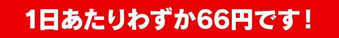 1日あたりわずか66円です！