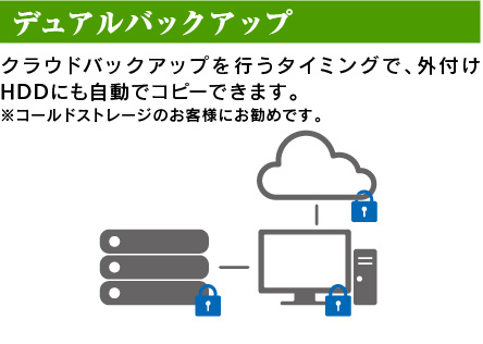デュアルバックアップ