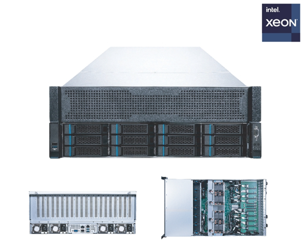 cervo Grasta Type-MGX-H200