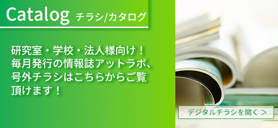 チラシ・カタログ