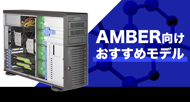 AMBER向けおすすめモデル